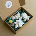 Dinosaur Painting Kit