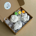 Animal Painting Kit