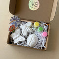 Insect Painting Kit